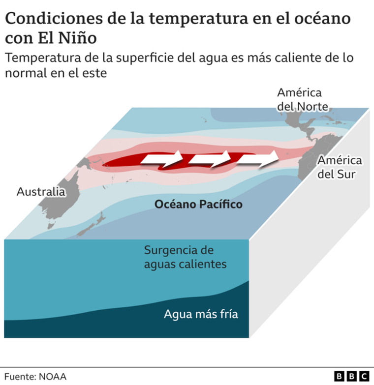 https://www.bbc.com/mundo/articles/cvgz4dx1yeno
