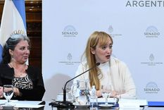 Foto: Prensa Senado Foto: Prensa Senado