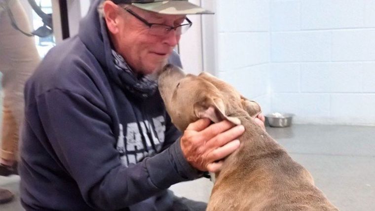 Blue, Pat, perro y su dueño, reencuentro