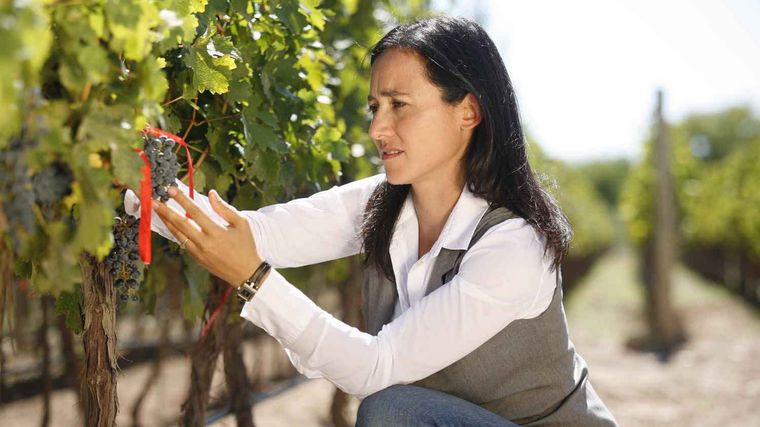 Laura Catena puede ganar un prestigioso galardón, y vos podés votar en esta nota.
