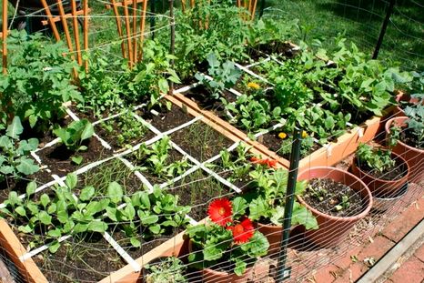 Foto: static.wikia.nocookie.net/gael-raibead