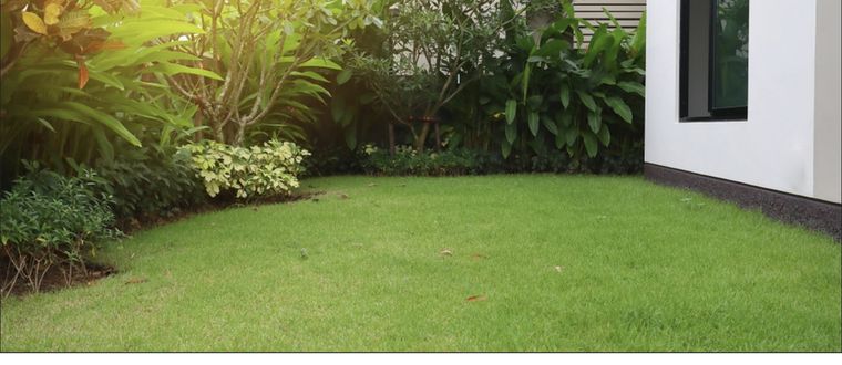 Haz que tu jardín luzca siempre bien cuidado Foto: Shutterstock