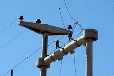 Foto: ALF PONCE MERCADO / MDZ Foto: ALF PONCE MERCADO / MDZ