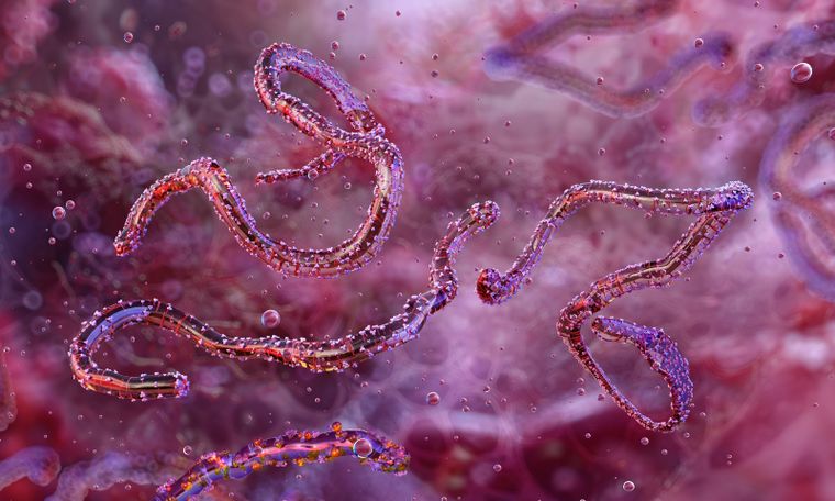 Una investigación analiza cómo restos “zombies” de coronavirus podrían seguir activos a escala microscópica.