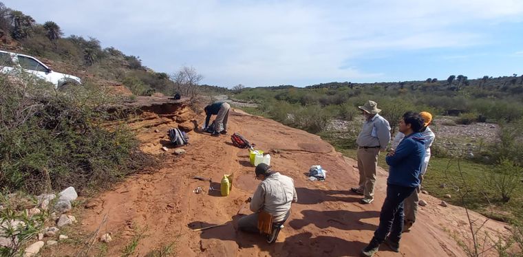 Científicos de la UNC investigarán el primer fósil de un vertebrado del Mesozoico hallado en Córdoba.