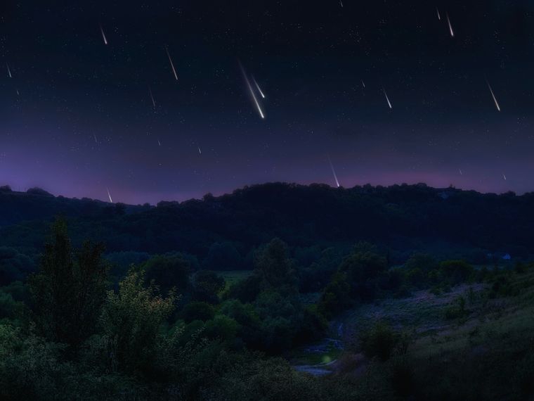 Conocé todo lo que necesitas para verlas Foto: Shutterstock