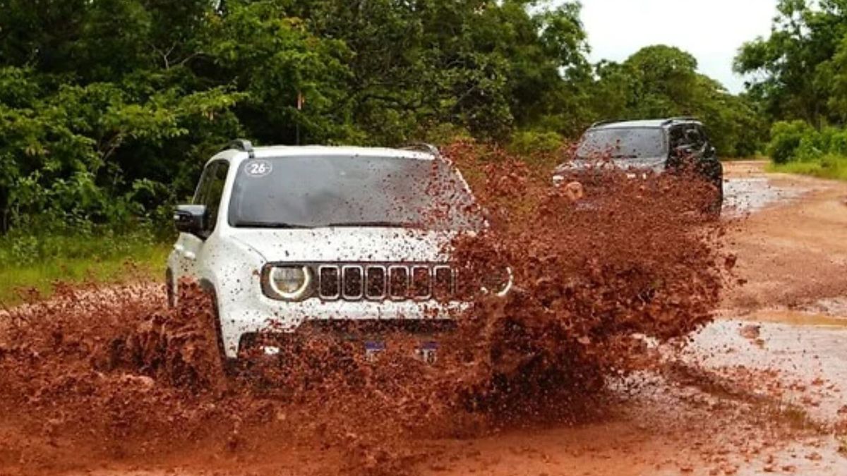 Conducción todoterreno en Brasil: los detalles del Jeep Nature Expeditions en Itajaí