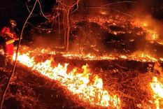 piden que la justicia investigue los incendios en la patagonia
