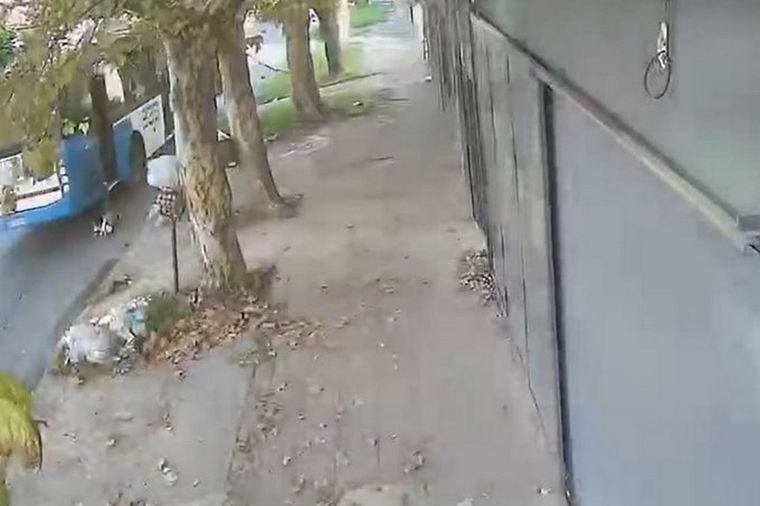 Un niño de cinco años resultó herido este lunes tras protagonizar un violento accidente al descender de un colectivo en la localidad bonaerense de Villa Fiorito.