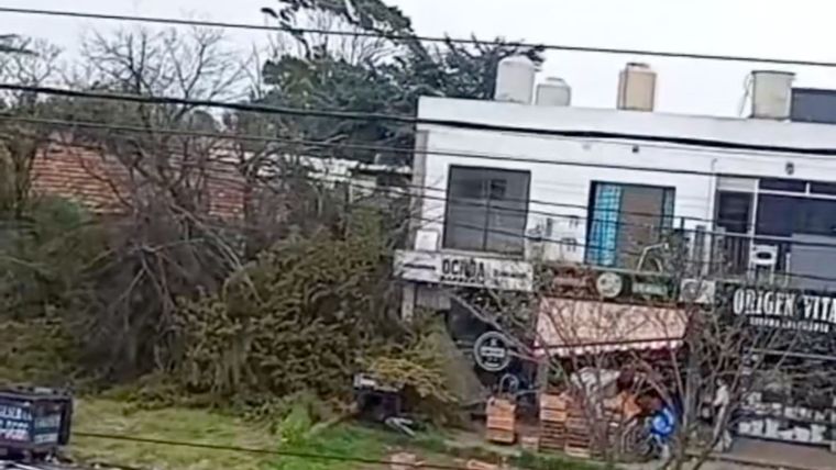 En medio de las alertas, una mujer se salvó milagrosamente de la caída de un árbol
