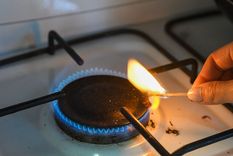 La posibilidad de ingresar los datos al RASE se abrió en junio por 60 días y en agosto se extendió por otros 30 días hasta el 4 de septiembre. Foto: Santiago Tagua/MDZ