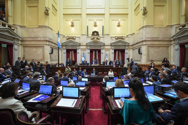 El Senado de la Nación en la última sesión, donde se aprobó la suspensión de las PASO. Foto: Noticias Argentinas