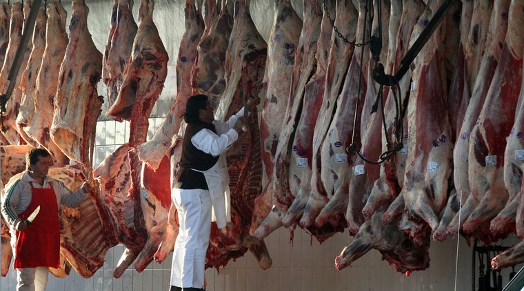 El tradicional sistema de comercialización por medias reses dejará paso a la venta por troceo, que involucra piezas de hasta 32 kilos. Foto: Pachy Reynoso / MDZ