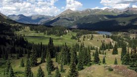 Un sueño para analizar. Un sueño para analizar.