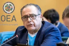 El embajador argentino en la OEA, Carlos Cherniak. El embajador argentino en la OEA, Carlos Cherniak.