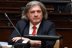 El diputado provinical tendrá suspendida su matrícula de abogado durante 20 días en febrero Foto: ALF PONCE MERCADO / MDZ