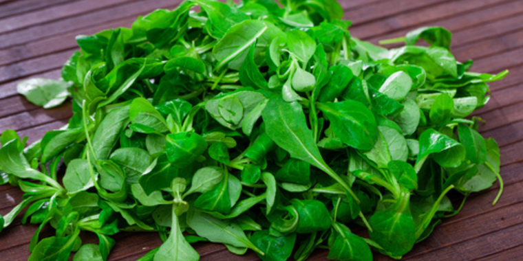 Ensalada de rúcula Foto: Shutterstock