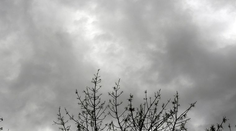 Foto: ALF PONCE MERCADO / MDZ