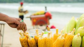 Compró un choclo en la playa y la estafaron.
