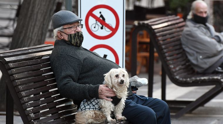 ¿Qué mascota deberías adoptar si vives solo? Foto: ALF PONCE MERCADO / MDZ