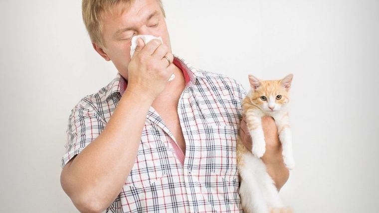 La alergia a los animales es muy común.
