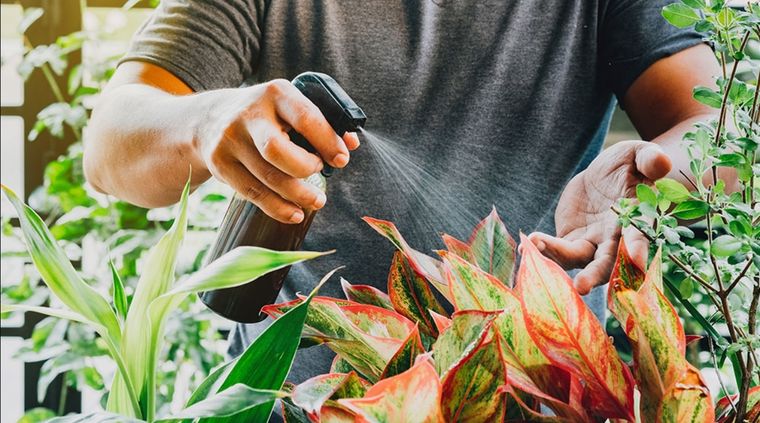 Foto: Nuestro clima - https://nuestroclima.com/wp-content/uploads/2021/10/vinagre.jpg