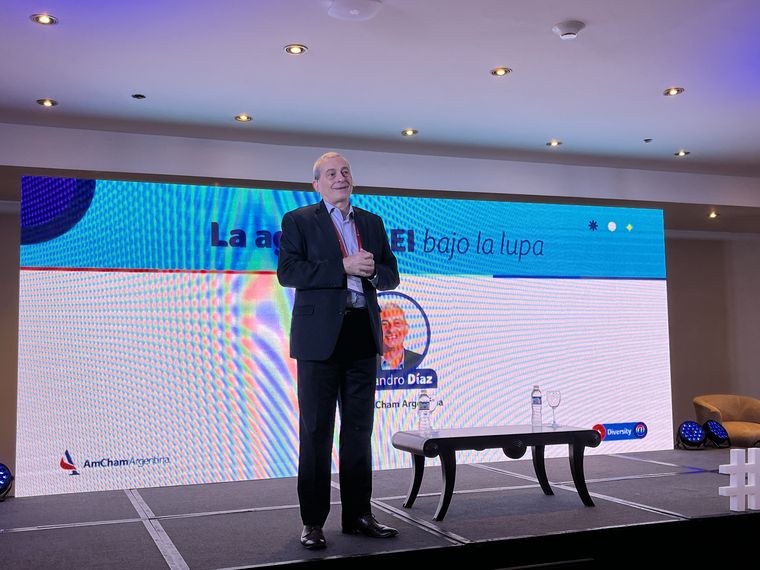 Alejandro Díaz, CEO de Amcham Argentina, se refirió a las polémicas declaraciones de Peter Lamelas, el futuro embajador de Estados Unidos en el país.&nbsp;