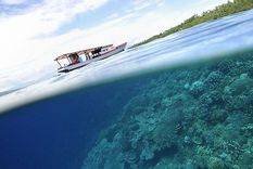 Le hemos dado la espalda al océano. Foto: GETTY IMAGES