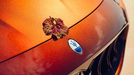 Maserati rinde tributo a la Toscana con el nuevo Grecale Il Bruciato Maserati rinde tributo a la Toscana con el nuevo Grecale Il Bruciato