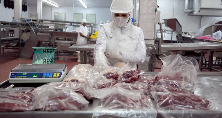 carne exportaciones de carne.jpg