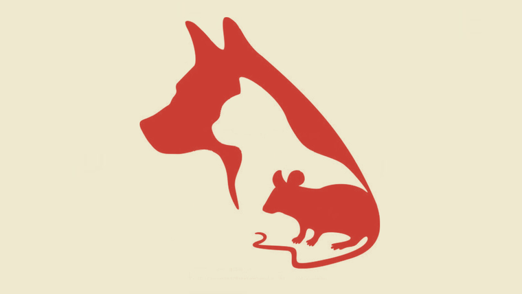 test de personalidad