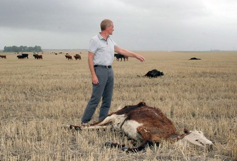 Así están las tierras. Foto: NA