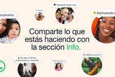Llega una actualización en la sección info de WhatsApp.