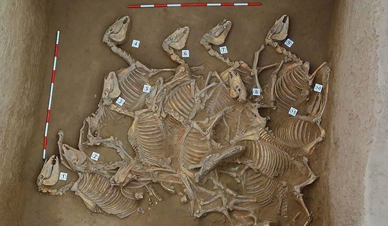 Una de las fosas de sacrificios encontradas en China. Foto: China,AntiquityPublications.