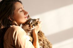 MASCOTAS ALGUNOS FELINOS ACOSTUMBRAN A DORMIR CON SUS AMOS. Foto: Shutterstock MASCOTAS ALGUNOS FELINOS ACOSTUMBRAN A DORMIR CON SUS AMOS. Foto: Shutterstock