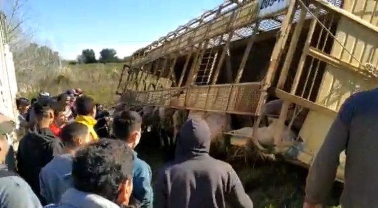 Hambre A poco de producirse el accidente, se acercaron decenas de personas.