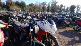 Los vehículos podrán visualizarse el 2 de diciembre en la Playa de Secuestros municipal. Los vehículos podrán visualizarse el 2 de diciembre en la Playa de Secuestros municipal.