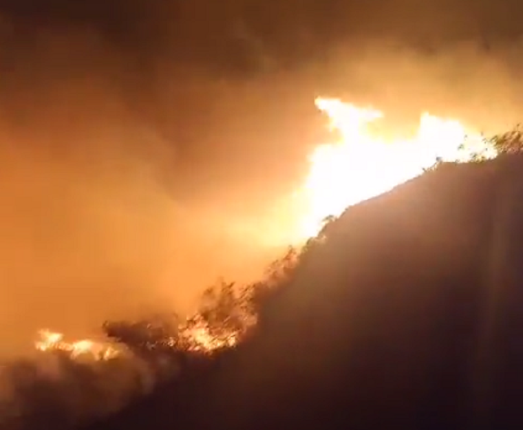 Foto: Captura de pantalla