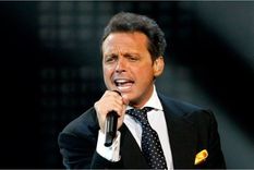 luis miguel: la imperdible historia de su vino y donde comprarlo