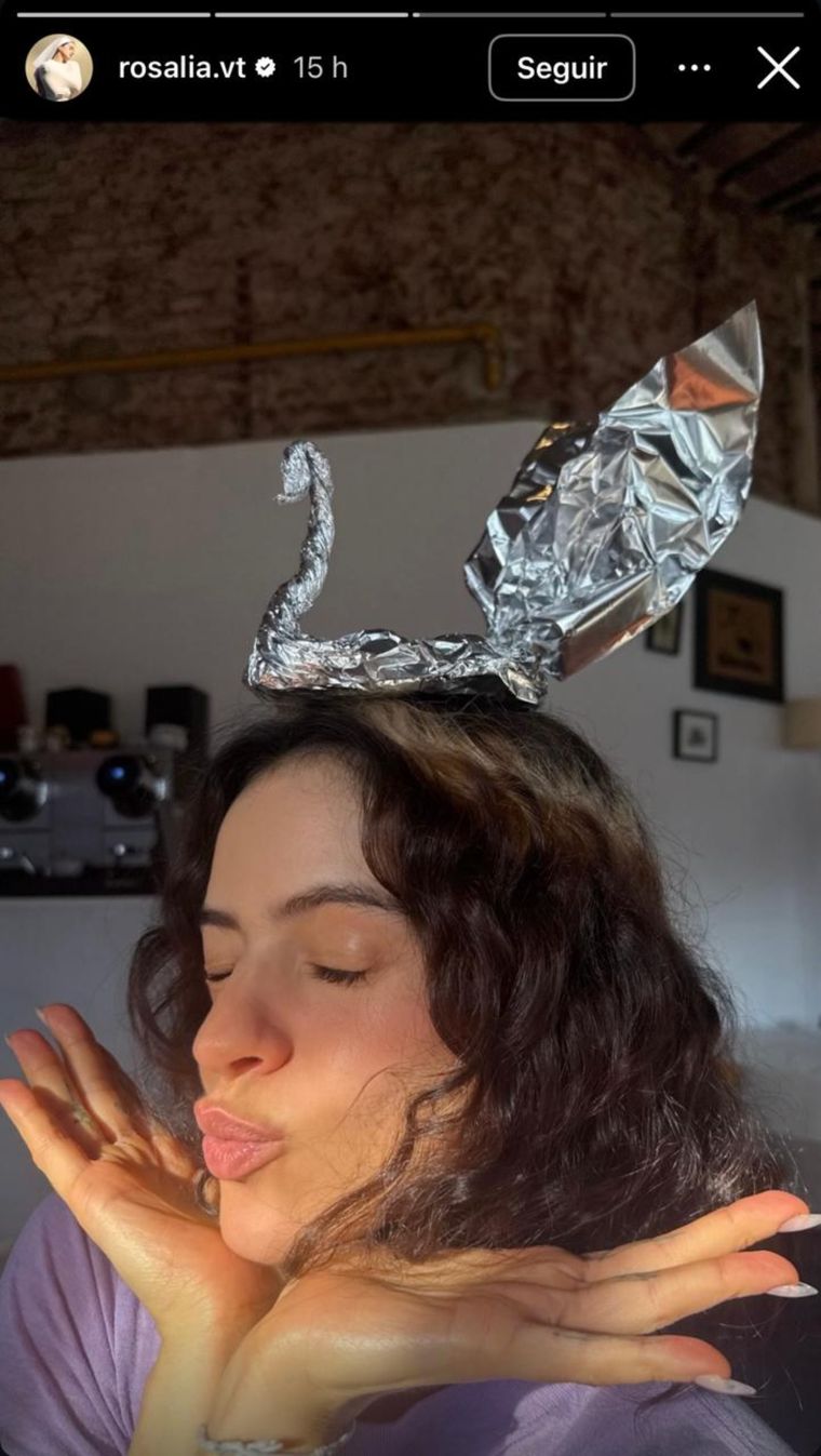 Una de las im&aacute;genes que Rosal&iacute;a public&oacute; en sus historias de Instagram.