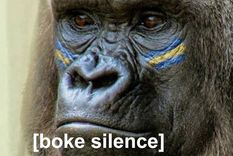 Las redes sociales estuvieron atentas al clásico disputado en Avellaneda. Las redes sociales estuvieron atentas al clásico disputado en Avellaneda.