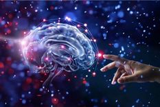 nuestro cerebro: esa maquinita que nunca descansa