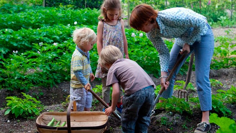 Que los niños tengan su propio espacio en una huerta ayudará a estimular la curiosidad natural de los más pequeños con la jardinería. Foto: Leigh Clapp
