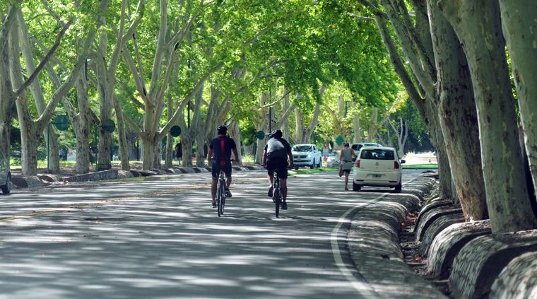 Foto: ALF PONCE MERCADO / MDZ