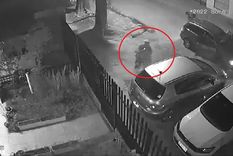 Las cámaras de seguridad captaron el momento