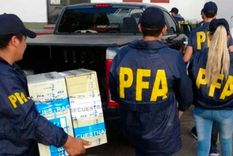 Material secuestrado por la Policía Federal Argentina Foto: NA