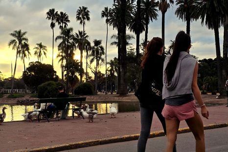La licitación será en 16 parques y plazas de la Ciudad de Buenos Aires. La licitación será en 16 parques y plazas de la Ciudad de Buenos Aires.