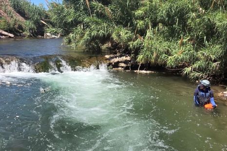 Las tareas de búsqueda de los Bomberos en el canal Cacique Guaymallén. Las tareas de búsqueda de los Bomberos en el canal Cacique Guaymallén.