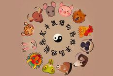 ¿Qué animal sos? Foto: Archivo MDZ