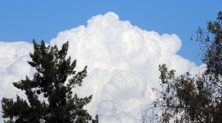 Foto: ALF PONCE MERCADO / MDZ